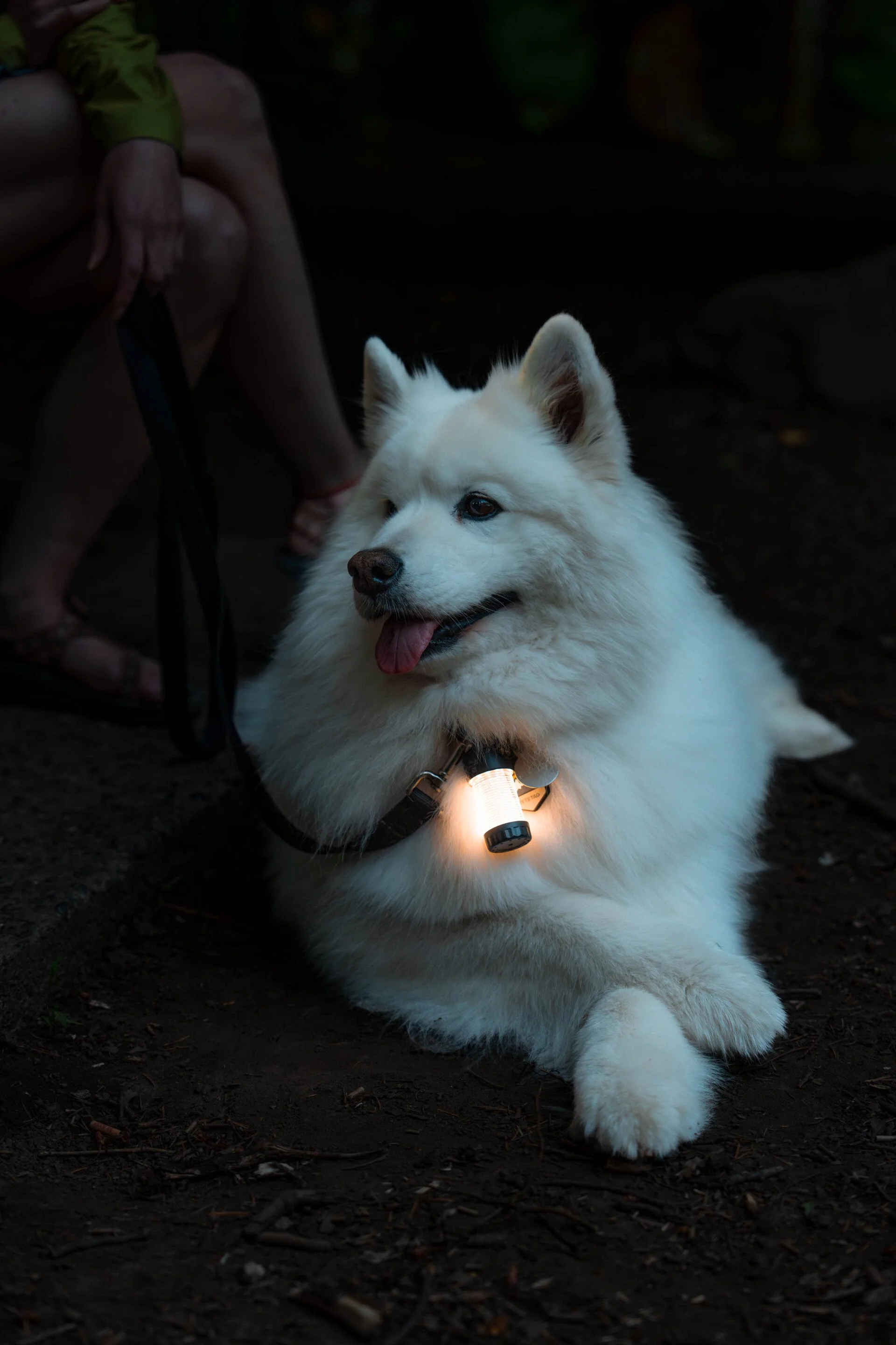 Laterne ML4 Warm Light